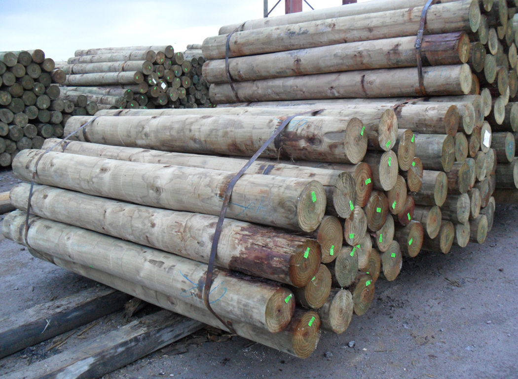 Roundwood and Treated Outdoor Products
