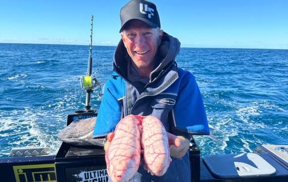 Article Content Image